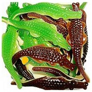 Alligator Géant sachet de 2 kg de chez Pierrot Gourmand