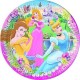 Set Anniversaire Décor "Disney Princesses Journey"