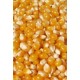 Maïs pour Pop Corn prêt à éclater sac de 22,5 kg
