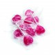 Sucettes Coeur Fruit 1200 Grs (+/-100 Pcs)