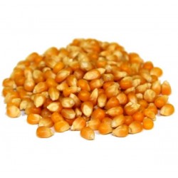 Maïs pour Pop Corn prêt à éclater sac de 22,5 kg