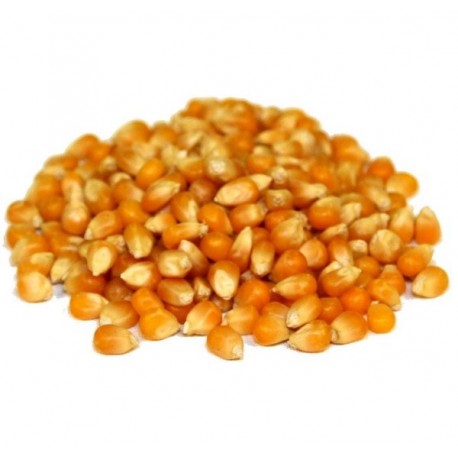 Maïs pour Pop Corn prêt à éclater sac de 22,5 kg