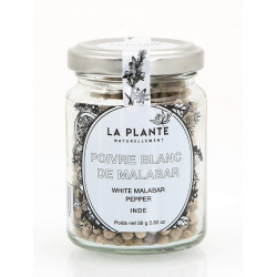 Poivre Blanc de Malabar Bio pot de 50 Grs
