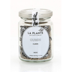 Cumin Bio pot de 35 Grs