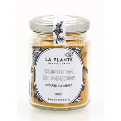 Curcuma en Poudre Bio pot de 40 Grs