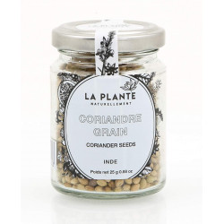 Coriandre Grain Bio pot de 25 Grs