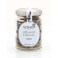 Mélange 5 Epices Bio pot de 40 Grs
